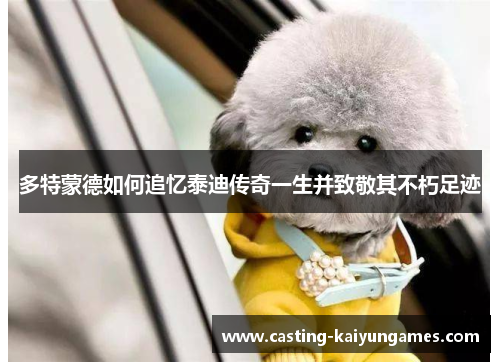 多特蒙德如何追忆泰迪传奇一生并致敬其不朽足迹