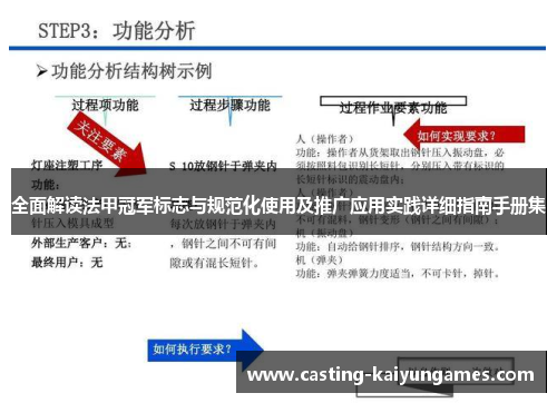 全面解读法甲冠军标志与规范化使用及推广应用实践详细指南手册集